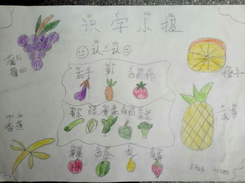 制作小学一年级剪贴报图片的指南 2