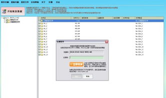 急寻！2.855版数据恢复大师注册码，高分悬赏！ 2