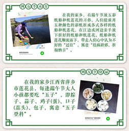 端午情怀作文 2