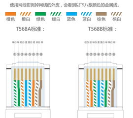 轻松学会：网线制作全攻略，包括接头接线与线序排序技巧 3