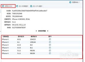 轻松掌握：备份4.1SHSH的实用小技巧 3