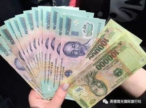 越南五日游应携带多少人民币 1