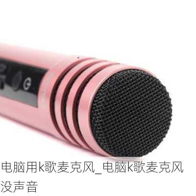 麦克风无声解决方案 2