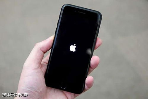 iPhone 13无法连接无线网络的原因分析 2