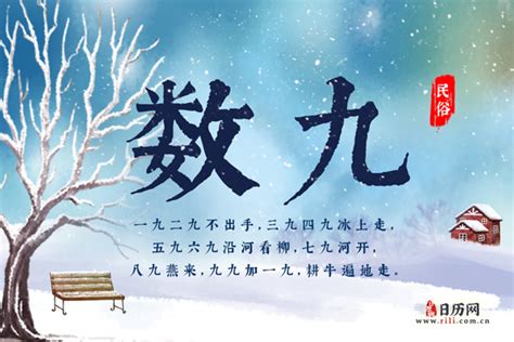 揭秘：三九四九过后，冬天真的就不冷了吗？ 5