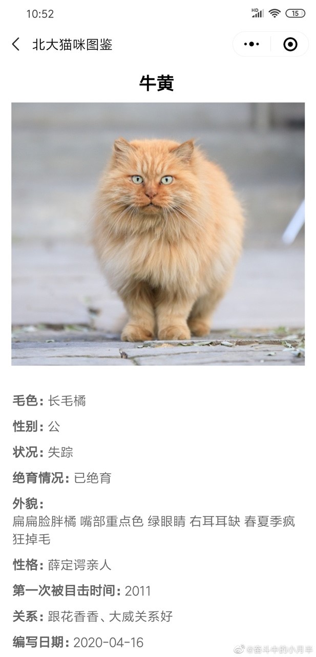 北大猫咪图鉴 截图2