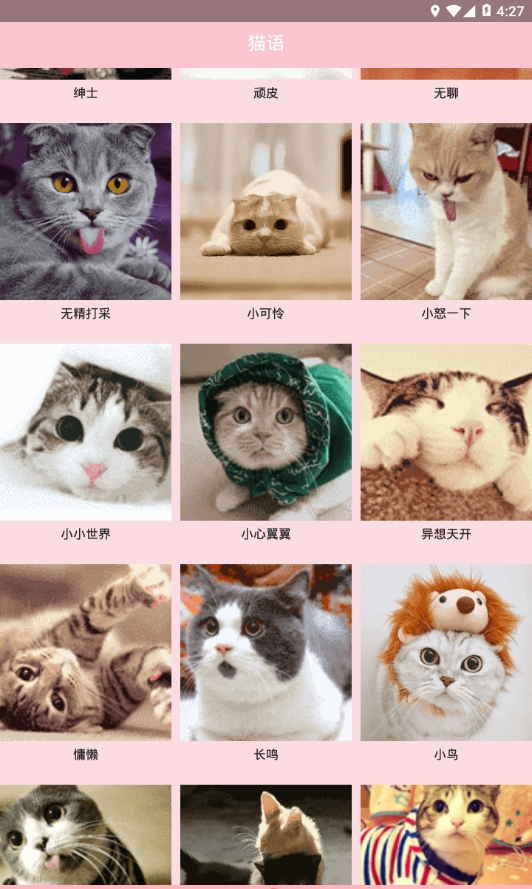 人猫交流器狗语