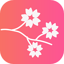 桃花相机ins特效拍照app