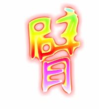 探索“臂”字之美：详细解读手臂的“臂”正确笔顺 1