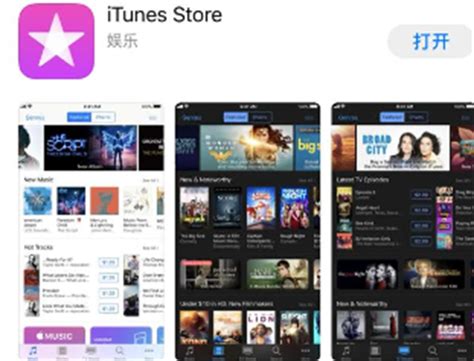 揭秘：为何你总是“无法连接iTunes Store”？ 2