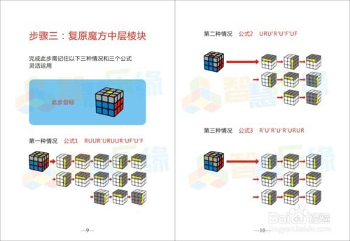 魔方高手秘籍：轻松玩转立方世界 1