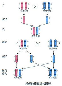 揭秘：掉期与互换，两者有何不同？ 3