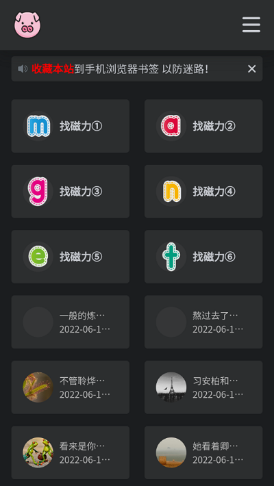 bt磁力猪官方 截图2
