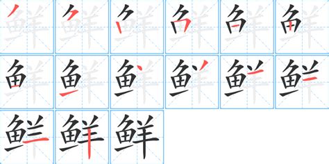 鲜字的正确笔顺 2