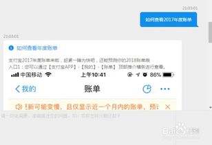 揭秘：轻松几步，查看你的支付宝年度账单全貌 4