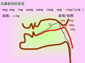 紧字的发音：前鼻音还是后鼻音？ 2