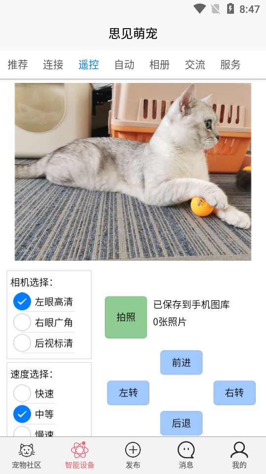 思见萌宠app 截图3