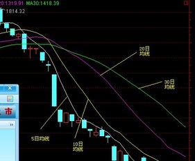 揭秘金融术语：深入解析“空头排列”的真相 4