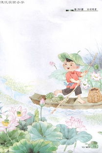 探究'解'与'一道'在'不解藏踪迹,浮萍一道开'中的含义 4