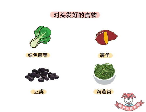 揭秘膳食凝集素：你不可不知的全面指南 3