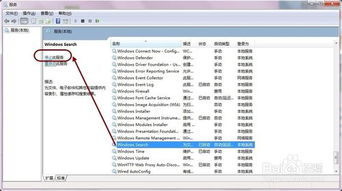 禁用并删除Windows Search的searchindexer.exe 1