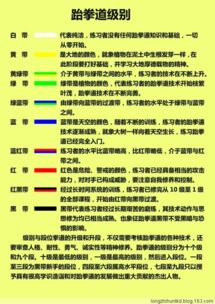 揭秘跆拳道段位：从入门到高手的逐级攀登 3