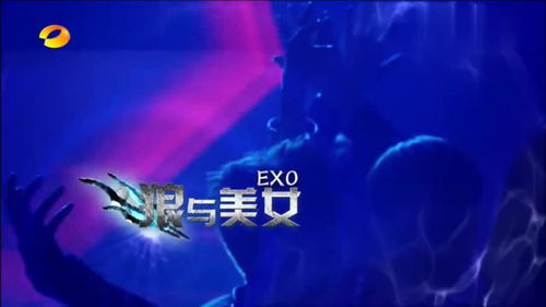 EXO《狼与美女》中文版歌词 3