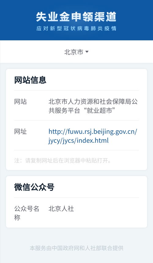 轻松指南：网上申请失业金领取全攻略 3