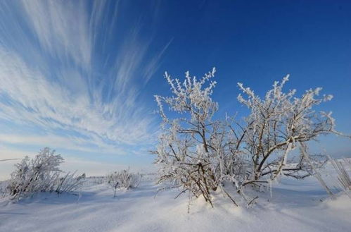 于皑皑白雪秘境，探寻你的宿命天堂 2