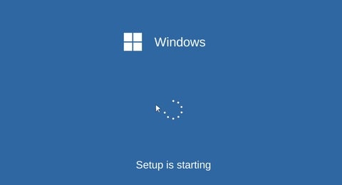 windows11模拟器中文版 截图2