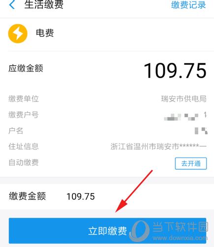 轻松掌握：支付宝缴纳电费全攻略 4