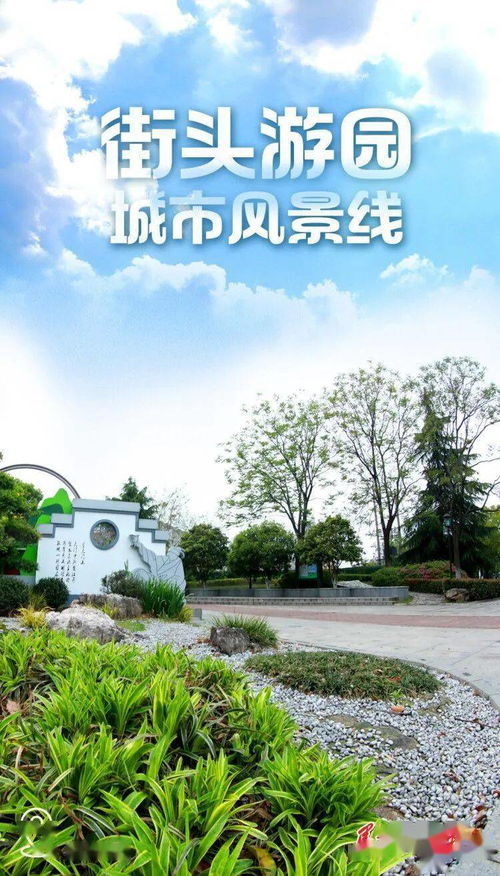 探秘'悠哉游哉'：悠然自得的生活哲学解析 4