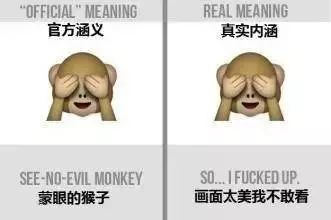 搜狗Emoji表情全解析：一看就懂的含义图解 2