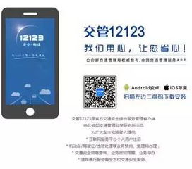 交管12123APP：轻松在线选车牌号的秘籍 3