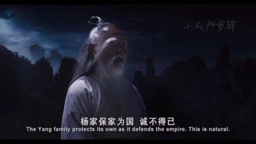 杨家七子悲壮终章：揭秘英雄群落的陨落之谜 2