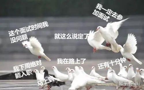 揭秘：“放鸽子”一词的真正含义是什么？ 2
