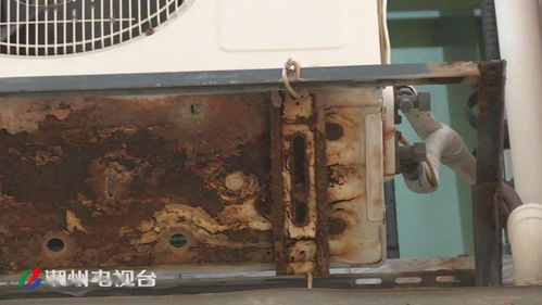 IQ挑战：猜一猜，空调器从高楼坠落后会变成什么“器”？ 2