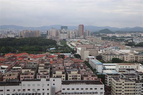 塘厦镇林村疫情动态：揭秘确诊病例具体数字 1