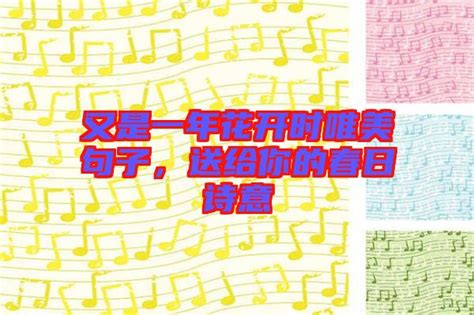 求歌名：姑娘即将出嫁的那首歌叫什么？ 3