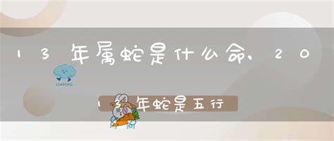 2013年是哪一年？ 4