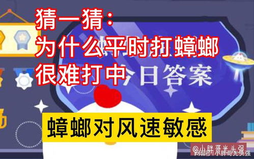 为什么我们在日常生活中很难打到蟑螂？ 2