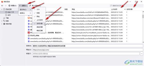 如何恢复浏览器历史记录中的网站网址？ 5