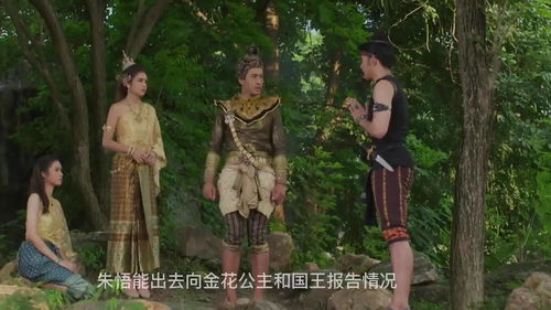 揭秘金花公主泰剧：精彩剧情大放送 2