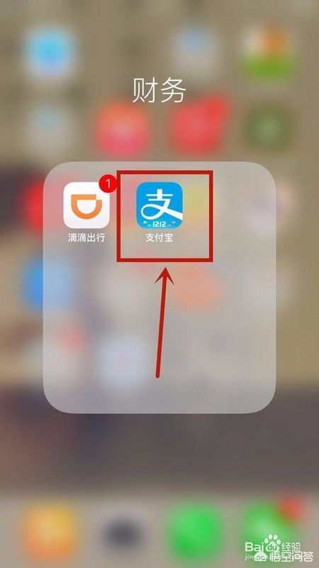 花瓣轻游APP免密支付功能开通指南 3