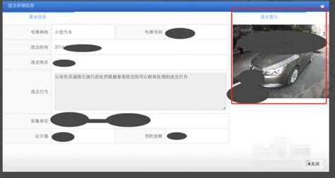 如何查询汽车违章照片 4