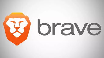 解锁brave单词的深层含义：精彩讲解视频 2