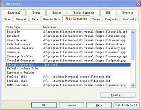 设置VF 9.0的默认工作目录 3