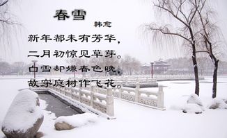 韩愈《春雪》中：白雪嫌春迟，庭树舞飞花 1