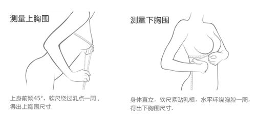 揭秘！轻松学会罩杯计算方法 3