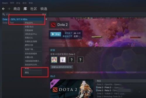 Dota2国服启动项该如何设置？ 2